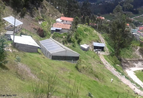 For Sale Peaceful Property & Home In The High Mountains Of Cuenca