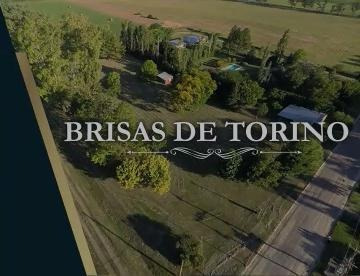 Imagen 2 de 11 de Terreno - Nuevo Torino