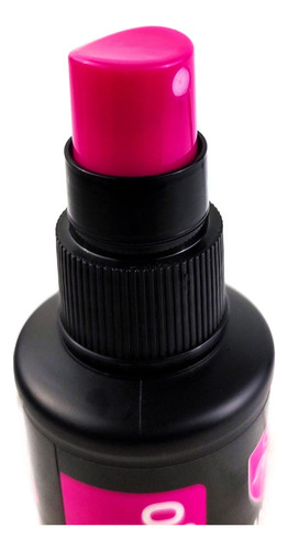 Protector Y Abrillantador De Interiores Flamingo F027 295 Ml