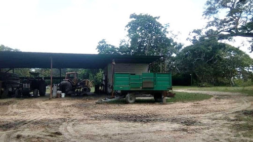 Imagen 10 de 14 de Fabulosa Finca En Maturin