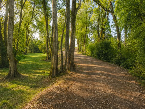 Exclusivo Condominio De Parcelas, A Solo 8 Km De Osorno