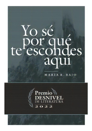 Yo Se Por Que Te Escondes Aqui, De Rodriguez Bajo, Maria. Editorial Ediciones Desnivel, S. L, Tapa Blanda En Español