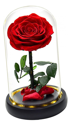 Flor De Rosa En Cúpula De Cristal, Regalo De Fiesta, Día De