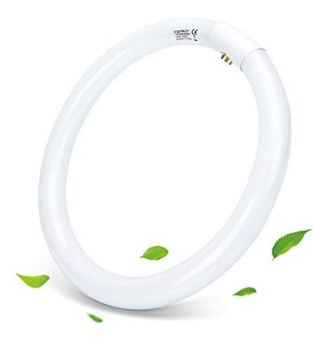 Tubo Fluorescente Circular 22w Bajo Consumo T5 Tubo Chico