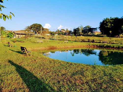 Excelente Chácara A Venda Ao Lado Da Rodovia Castelo Branco Em Frente Ao Castelinho Da Pamonha/quadra - 1286