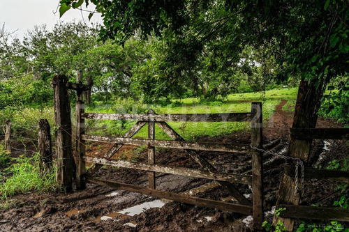 Venta De Terreno En Ex-hacienda El Jobo En Tampico Alto