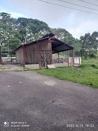 Imagen 6 de 7 de Venta Finca En Avenida Los Agustinos Y Ferrero Tamayo
