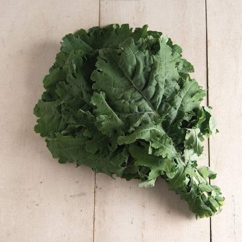 Davids Garden Seeds Kale White Russian Sl8348 (verde) 200 S