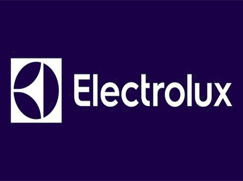 Termostato Heladera Electrolux Tsv 9011-09 - Original