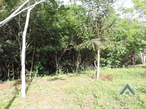 Chácara Com 1 Dormitório À Venda, 8000 M² Por R$ 480.000,00 - Gleba Ribeirão Cafezal - Londrina/pr - Ch0031