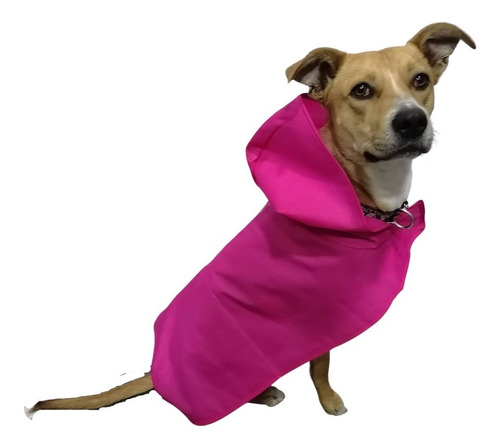 Capa Impermeable Perro Mini Gato Ropa Mascota Lluvia Talla 1