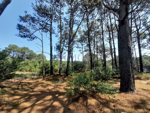 Imagen 7 de 16 de Venta De Lote En Barra Verde, La Barra, Uruguay - La Barra Barra Verde