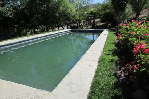 Imagen 4 de 15 de Venta O Arriendo De Hermosa Parcela Con Piscina Y Quincho.