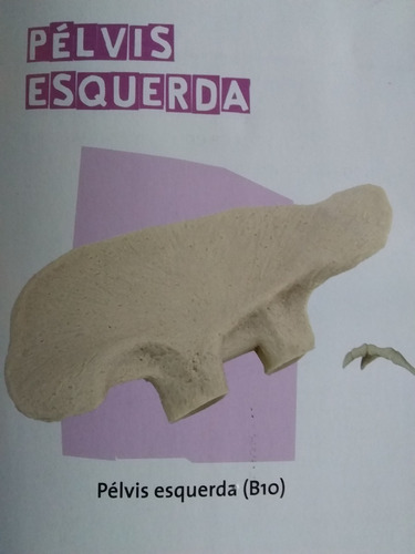 T-rex Fasciculo 32 - Novo Lacrado Com A Peça - Salvat