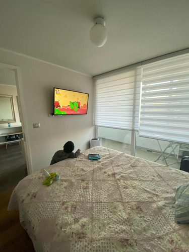 Venta Departamento Costa De Montemar 1 Dormitorio