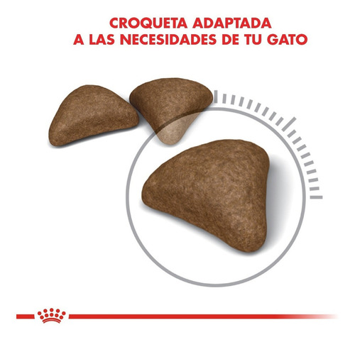 Imagen 5 de 6 de Alimento Royal Canin Feline Care Nutrition Hairball Care para gato adulto sabor mix en bolsa de 1.5 kg