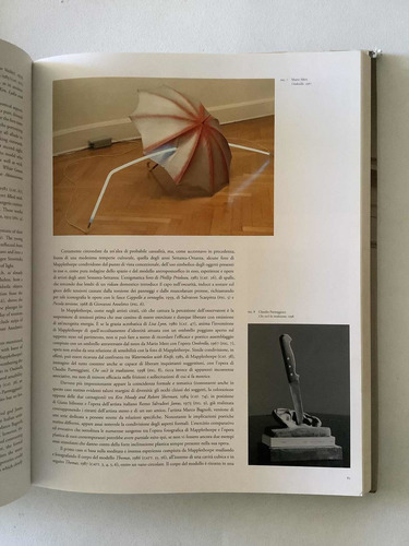 Mapplethorpe - Perfection In Form (Usado)