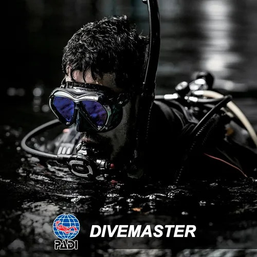 Padi Divemaster Curso De Buceo
