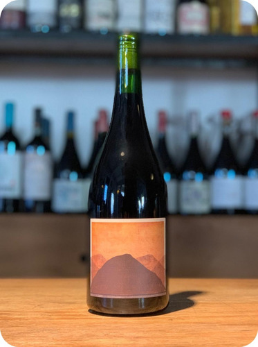 Vino Rocamadre Pinot Noir - Paraje Altamira - Recomendado!