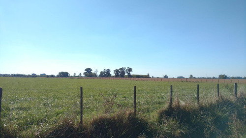 Campo En Venta En San Eladio, Buenos Aires.