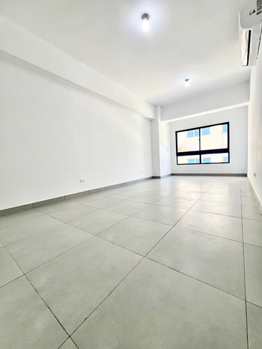 Alquilo Apartamento En Naco