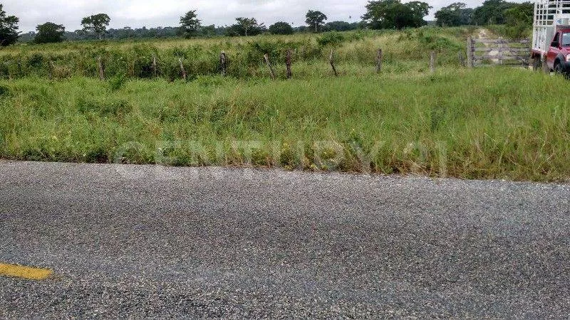 Rancho Agrícola Y Ganadero En Champotón Campeche. 50 Hectareas De Pastizales.