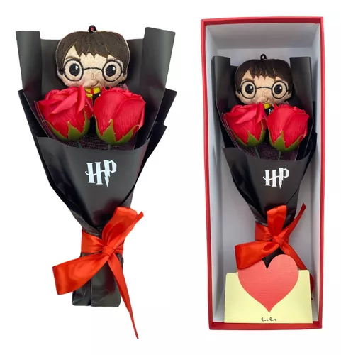 Kit Harry Potter - Regalo – Azap Flores MX