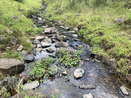 Imagen 6 de 20 de Venta Chacra Sierra Ruta 39 Aigua Sierra De Los Caracoles