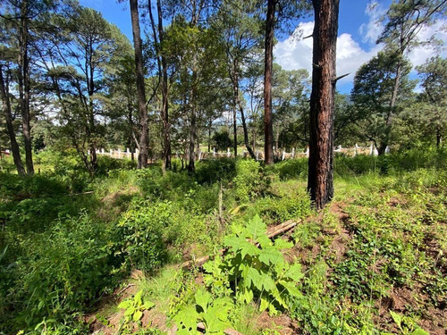 Imagen 2 de 11 de Terreno En Venta En San Gabriel Ixtla, Valle De Bravo