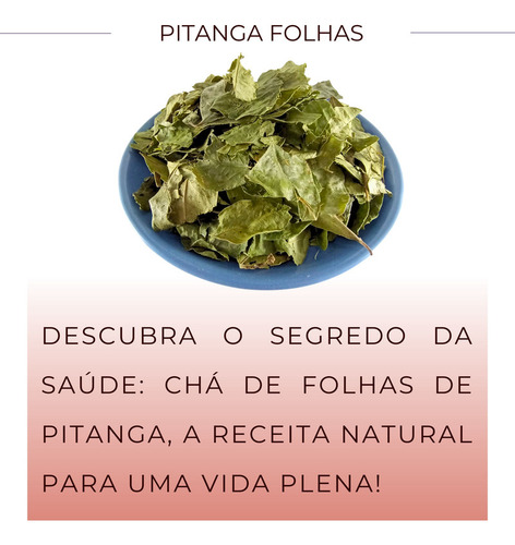 3 Pacotes Chá Folhas Pitanga | Verdadeira Pitangueira