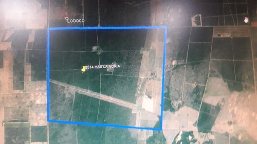 Imagen 4 de 15 de Terreno Campo En Venta Ubicado En La Maruja, Rancul