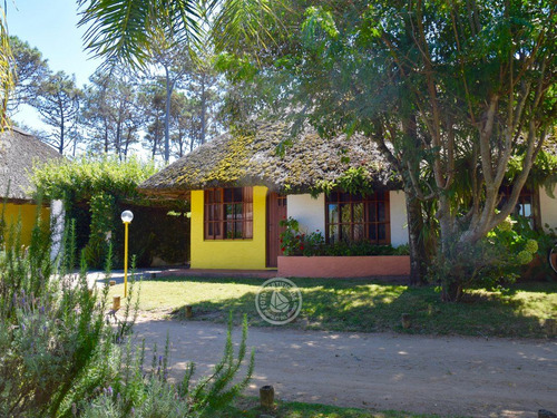 Anaconda Club En La Paloma