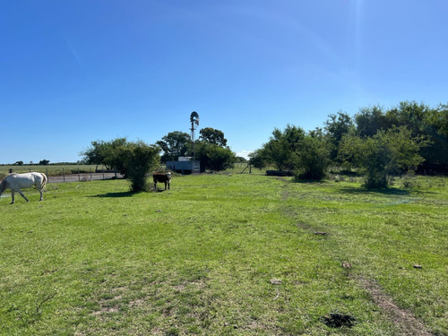 Campo En Venta De 36, 7 Hectáreas Con Manga, Potrero, Molino, Corrales