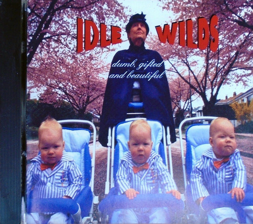 Cd Usa - Idle Wilds - Dumb Gifted & Beautiful (95) *powerpop (Usado)