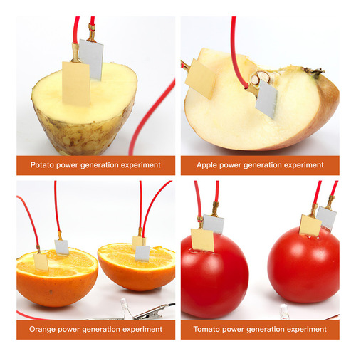 Placa De Zinco Folha De Zinco Folha De Cobre Fruta 10 Pares
