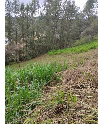 Finca En Vender En Guarne