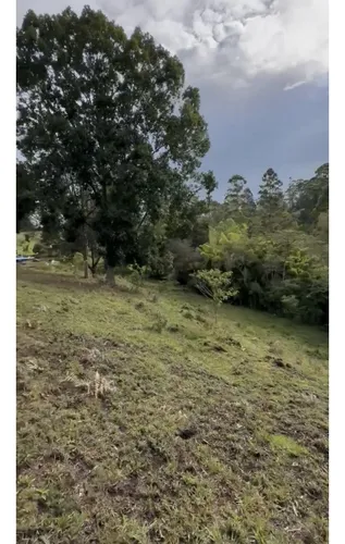 Lote Independiente Rionegro Vereda Ojo De Agua