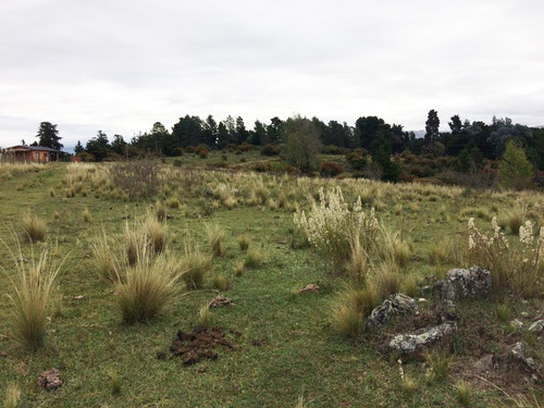 Imagen 5 de 7 de Especaulares 2.2 Ha En Villa Berna!!!445