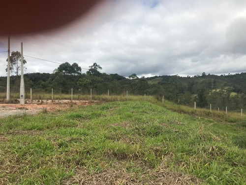 Imagem 6 de 14 de 16- Lote Com Excelente Topografia Em Aruja