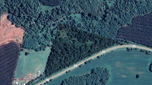Imagen 3 de 8 de Loteo ,belleza Escenica,arbolado,bosque Nativo