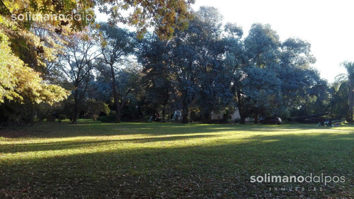 Imagen 15 de 18 de Excelente Terreno De 7500 M2 - Villa Rosa