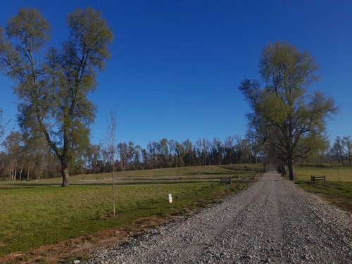 Hermosas Parcelas Ruta Ch-199 Km. 7 Villarrica - Pucón