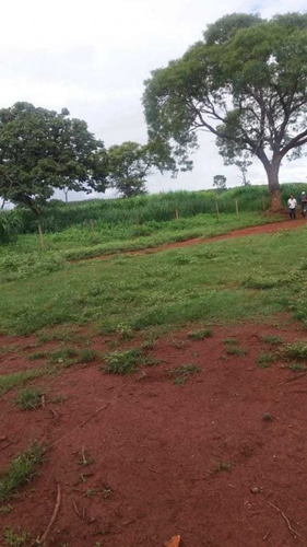 Imagem 19 de 25 de Fazenda Com 178 Hectares Rica Em Agua Em Felixlandia Mg - 36425