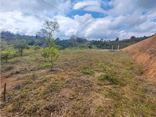 Lote En Rionegro Vereda La Playa