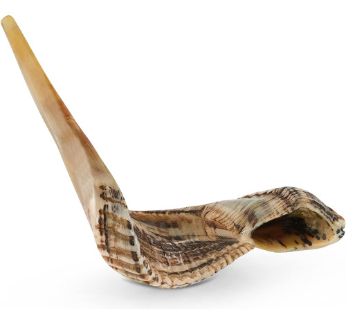 Shofar De Cuerno De Carnero De Jerusalen 43-53cm Polaco Cto 