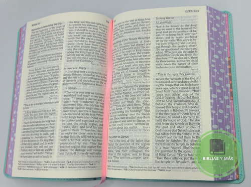 Imagen 4 de 9 de Biblia De Estudio Infantil En Ingles- Hcb Study Bible 4 Kids