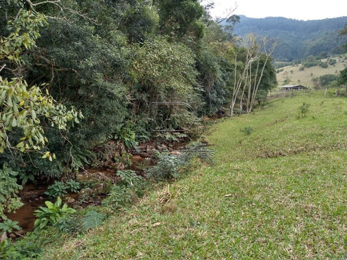 Imagem 10 de 15 de Sitio - Fazenda Rio Das Garcas - Ref: 32161 - V-32158