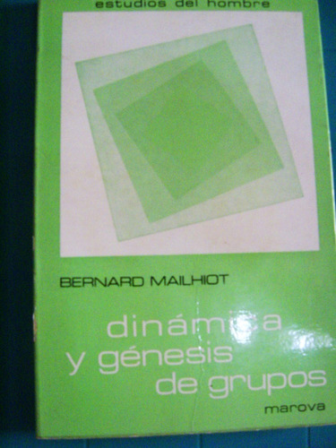Libro Dinamica Y Genesis De Grupos
