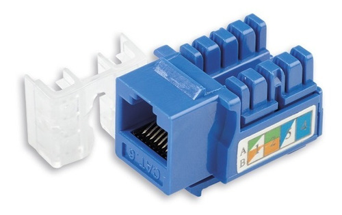 Keystone Jack Coupler Hembra Cat6 Azul Y Blanco Tienda