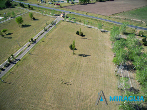 Imagen 10 de 12 de Terrenos- Lotes- Pinares Del Sur- Piñero- Barrio Cerrado